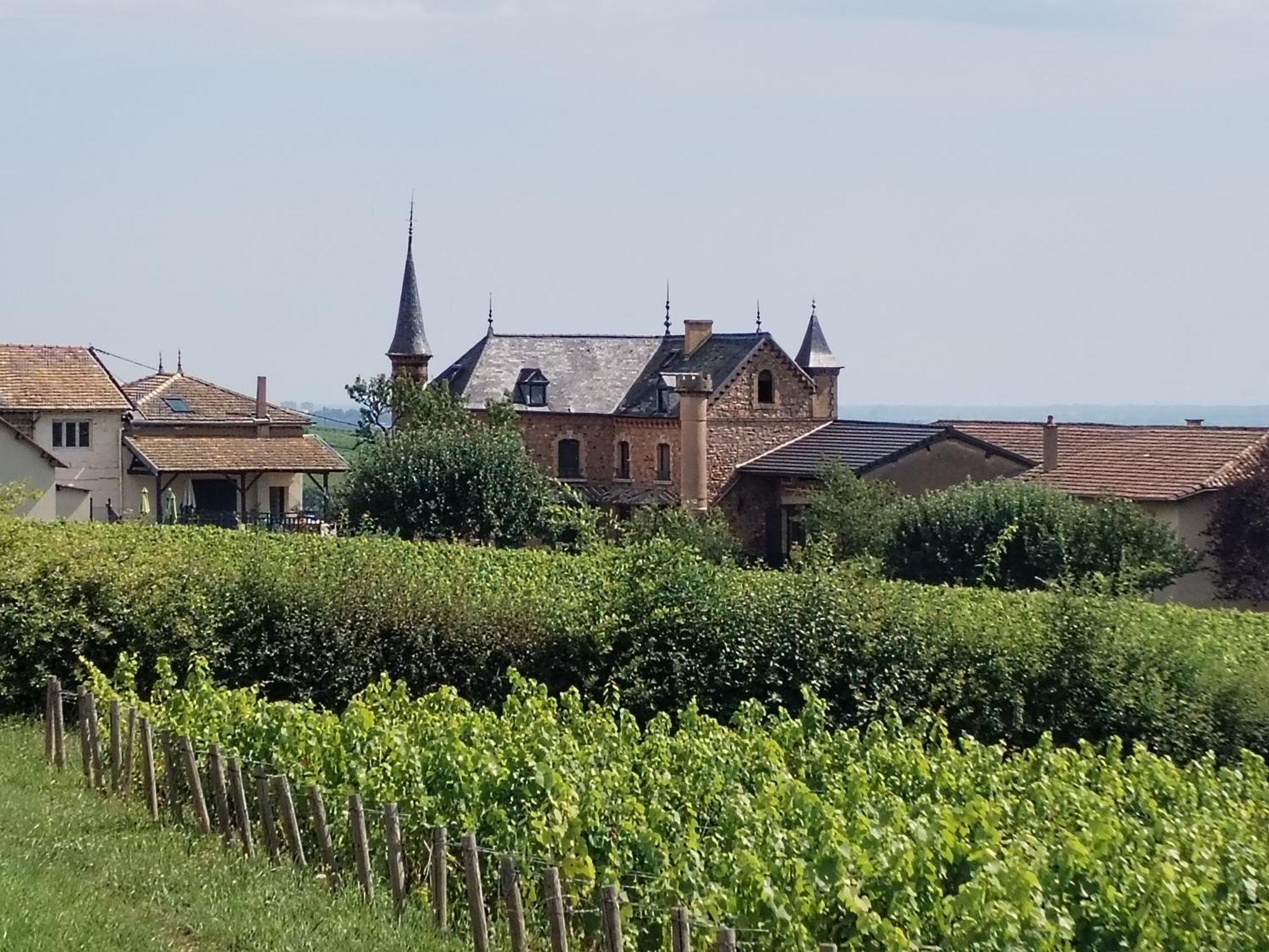 Le Petit Chateau De Sathonat - Horizon Paradis Saint-Amour-Bellevue Exterior foto